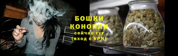 ПСИЛОЦИБИНОВЫЕ ГРИБЫ Вязьма