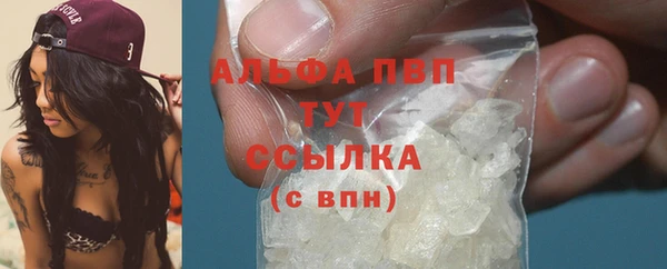 ПСИЛОЦИБИНОВЫЕ ГРИБЫ Вязьма