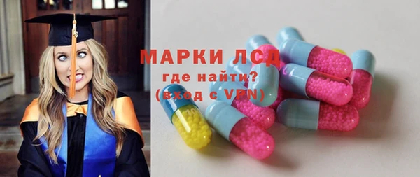 ПСИЛОЦИБИНОВЫЕ ГРИБЫ Вязьма