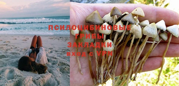 Альфа ПВП Горнозаводск