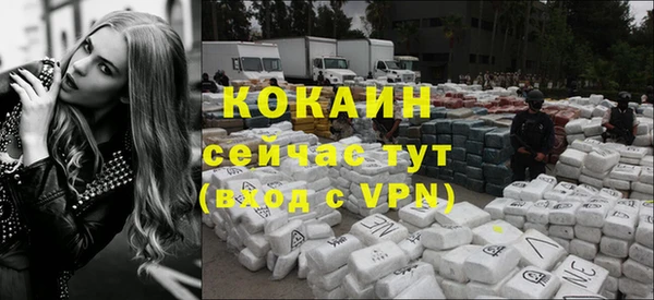 ПСИЛОЦИБИНОВЫЕ ГРИБЫ Вязьма