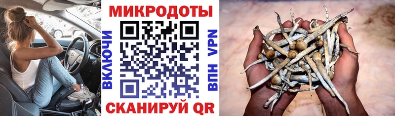 где продают наркотики  Химки  сайты даркнета наркотические препараты  Псилоцибиновые грибы ЛСД 